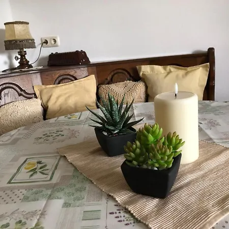 In Koblenz, Nahe Uni Und Bwzk Mit Garten Appartement