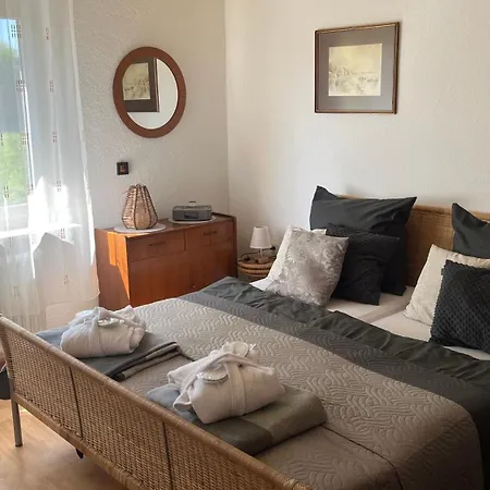 Apartmán In Koblenz, Nahe Uni Und Bwzk Mit Garten Koblenc